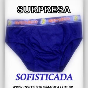 SURPRESA SOFISTICADA (Cueca ou Calcinha)