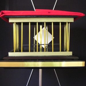 SUPER STAR (VANISH DOVE CAGE)