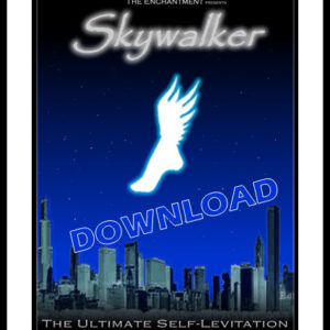 PROJETO - SKYWALKER (Sistema de Levitação Humana)