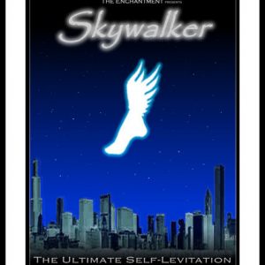 PROJETO SKYWALKER (Sistema de Levitação Humana)