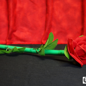 Break Away Rose by Mr. Magic
