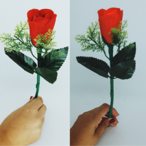 Rosa para D'Lite (Vermelha)