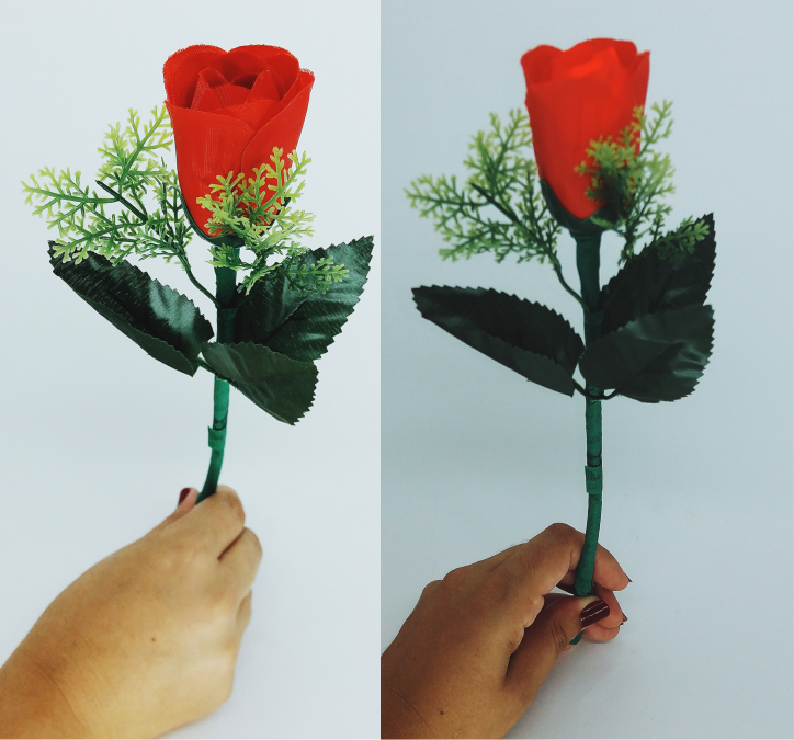 Rosa para D'Lite (Vermelha)