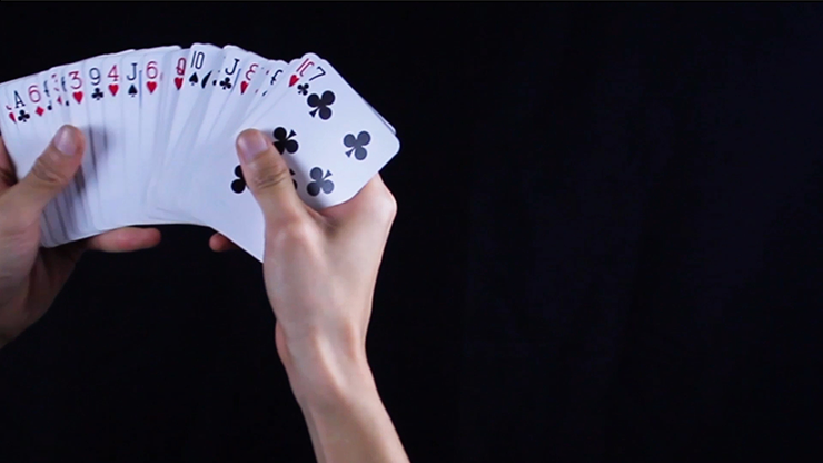 Z DECK by ziv - Imagem 3