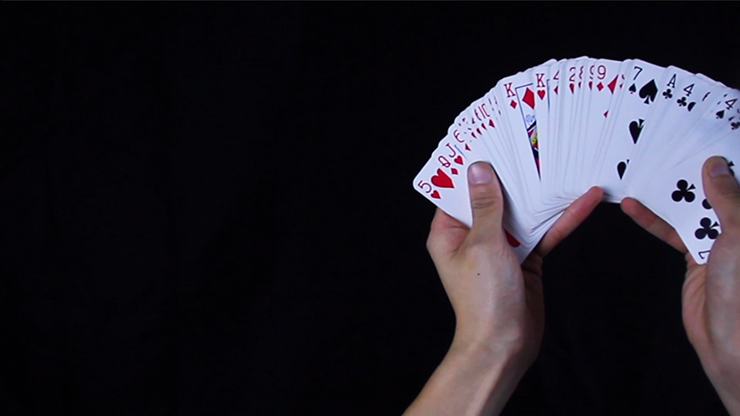 Z DECK by ziv - Imagem 4